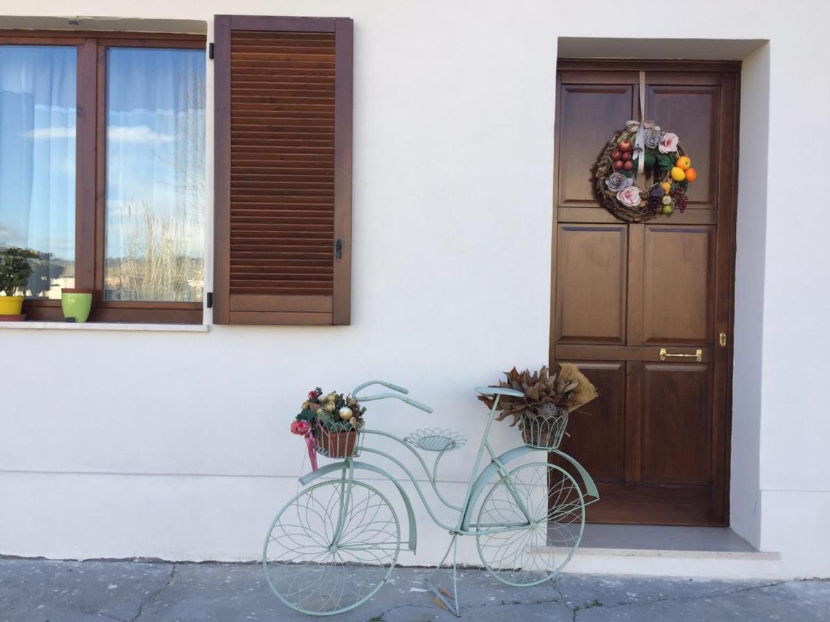 B&B Villa Angela Via Della Bonifica 17 Villareia 外观 照片