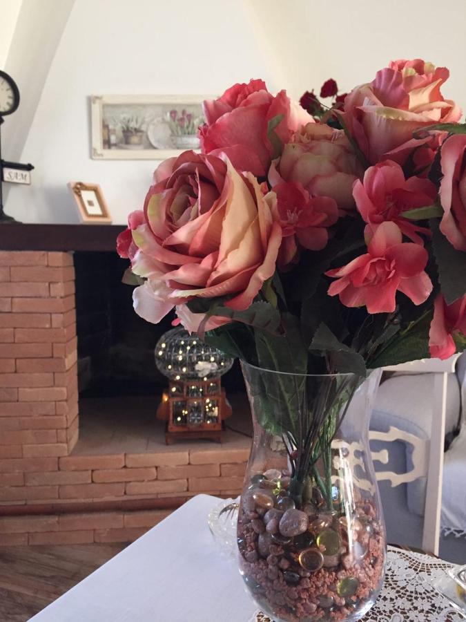 B&B Villa Angela Via Della Bonifica 17 Villareia 外观 照片
